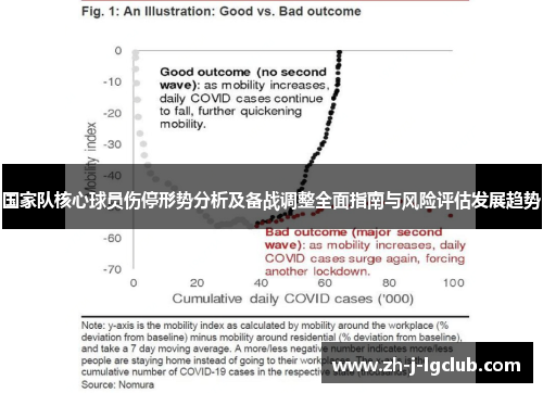 国家队核心球员伤停形势分析及备战调整全面指南与风险评估发展趋势